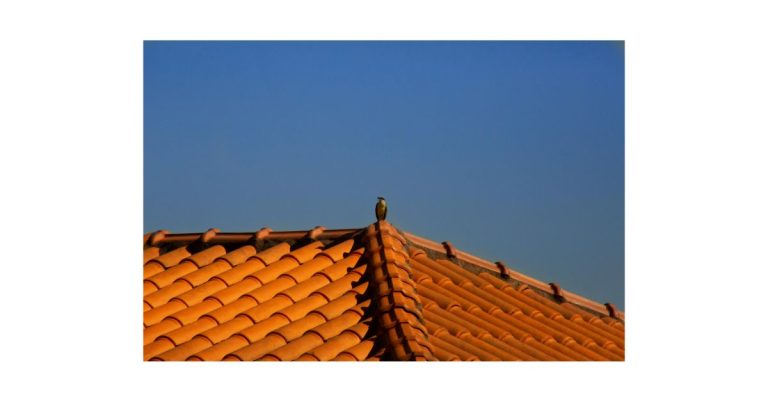 Expert Roofing Service Designed for Strength, Durability, and Peace of Mind
